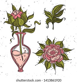 Collection set of dog rose flower and leaves drawing illustration. for pattern, logo, template, banner, posters, invitation and greeting card design.