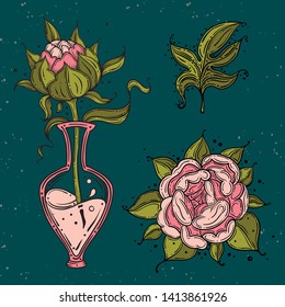 Collection set of dog rose flower and leaves drawing illustration. for pattern, logo, template, banner, posters, invitation and greeting card design.