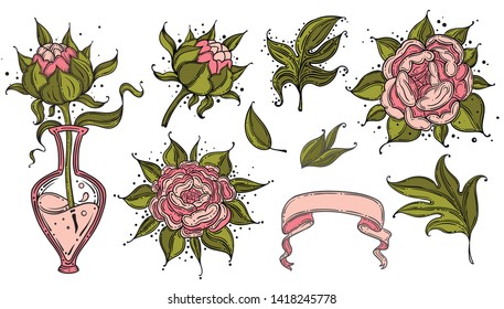 Collection set of dog rose flower and leaves drawing illustration. for pattern, logo, template, banner, posters, invitation and greeting card design.
