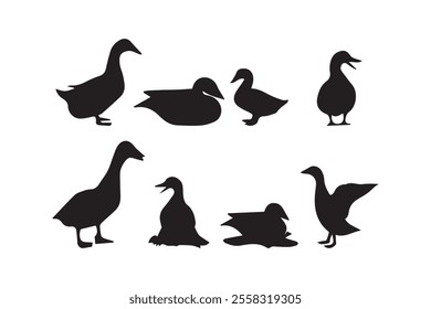 Collection set of duck silhouettes isolated on white background