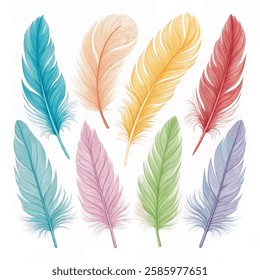 Collection set of feathers isolated on a  white background. Vector illustration.