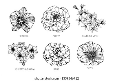 Collection set of flower drawing illustration. for pattern, logo, template, banner, posters, invitation and greeting card design.