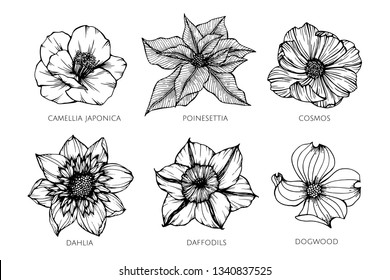 Collection set of flower drawing illustration. for pattern, logo, template, banner, posters, invitation and greeting card design.

