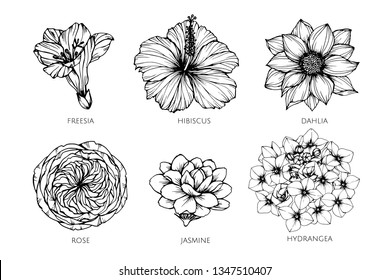Conjunto de colecciones de ilustraciones de dibujo de flores. para el diseño de patrones, logotipos, plantillas, banners, carteles, invitaciones y tarjetas de felicitación.