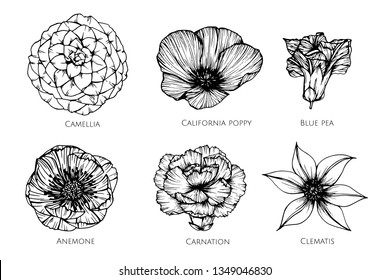 428 Carnation Tattoo Images, Stock Photos & Vectors | Shutterstock