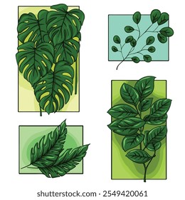 Conjunto de colección de hojas verdes arte de Ilustración vectorial