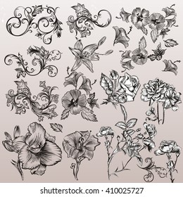 A collection or set of hand drawn flourishes and flowers in vintage style