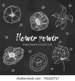 Collection set of hand drawn flowers line art by hand drawing on black background. Botanical elements.