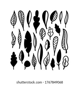 colección de hojas naturales dibujadas a mano aisladas de negro. Diseño vectorial premium