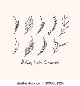conjunto de colecciones de hojas florales minimalistas dibujadas a mano diseño de decoración de bodas ilustración vectorial