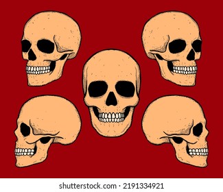 Collection set hand drawn skull colorful vintage free vector