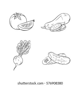 Collection set of hand drawn vegetables isolated on white background. Vector illustration of tomato, radish, zucchini and cucumber in vintage sketch style - stock vector