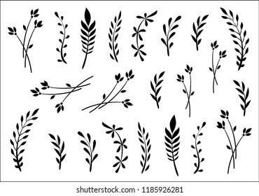 Collection,  a set of herbs and leaves, drawn by hand, sketch