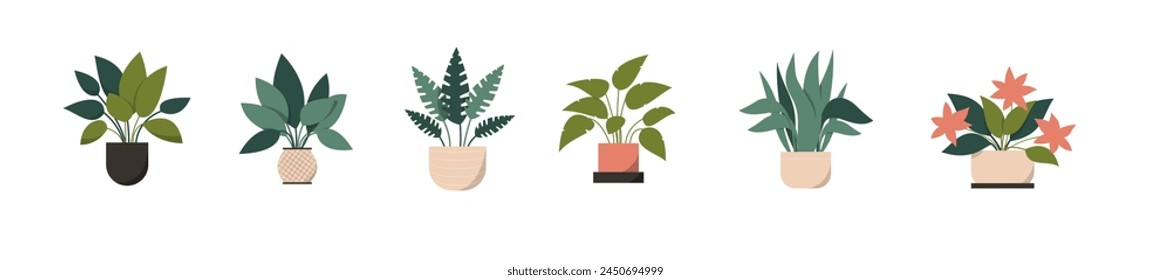 Collection set of houseplants in clay pots for indoor decoration, home, office hand drawn flat illustration