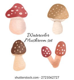 Collection set of mushroom wild toadstool botanical autumn hand drawn watercolor illustration