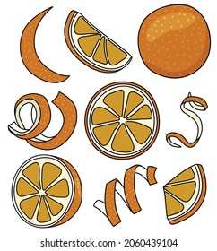 Collection set of orange and citrus fruits zest twist for menu, farmers market design, cocktail making process illustration, cookbook decoration etc. Doodle cartoon style vector illustration