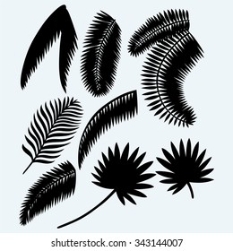 Collection Set Of Palm Leaves. Isolated On Blue Background. Vector Silhouettes