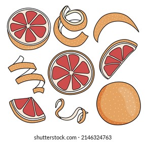 Conjunto de colección de pomelo de pomelo rojo de pomelo y frutos cítricos de zest twist. Ilustración vectorial del estilo de dibujos animados Doodle. Para el menú, diseño del mercado de los agricultores, proceso de elaboración de cócteles, decoración de libros de cocina, etc.