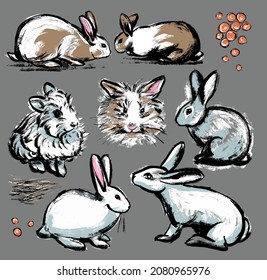 Collection set. Seven rabbits with elements. Drawing illustration in the style of a careless retro sketch by hand.