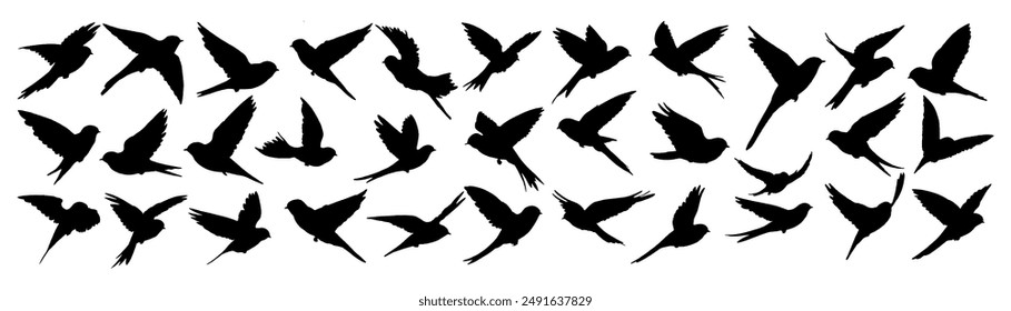 Collection set of silhouettes swallows. vector illustration of swallows bird isolated on white background