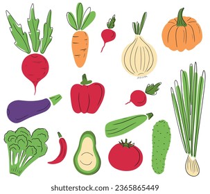 Collection set of tasty vegetables: beet, carrot, onion, pumpkin, pepper, avocado cucumber, squash. Courgette eggplant and aubergine, radish, tomato, chili pepper in flat vector hand drawn style