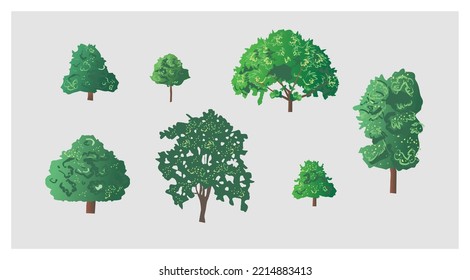 Collection, set of trees with different shapes, leaf and sizes. Nature, botanical vector illustration on a gray background.