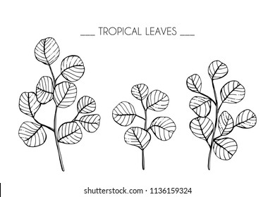 Conjunto de colecciones de ilustración de dibujo de hoja tropical. Blanco y negro con líneas de arte sobre fondo blanco.