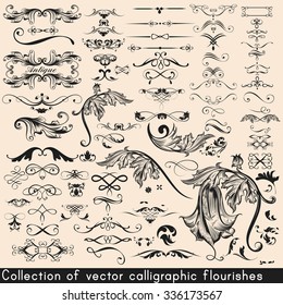 Collection or set of vintage vector flourishes for design