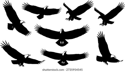 A collection of seven black eagle silhouettes in different flying poses on a white background.
