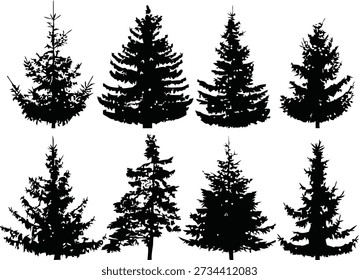A collection of seven pine trees silhouetted against a plain background viewed from the side