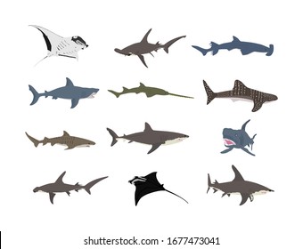 97 Scary stingray fish Images, Stock Photos & Vectors | Shutterstock