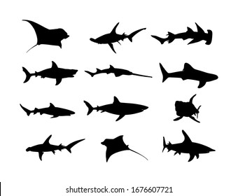 Collection of shark set silhouette isolated on white. Great white, bull shark, devil ray, hammerhead, stingray, manta ray, reef shark symbol, whale shark, saw fish. Predator fish in sea, ocean.