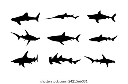 Collection of shark set vector silhouette illustration isolated. Great white, bull shark shape, hammerhead shadow, reef shark, whale shark, saw fish. Predator fish in sea and ocean.