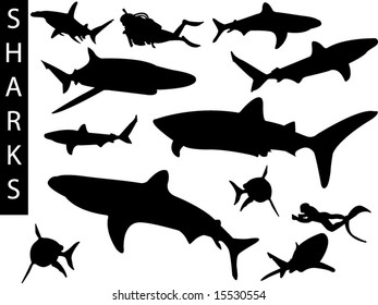 A collection of shark silhouettes-Check out my portfolio for other collections.