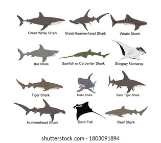 97 Scary stingray fish Images, Stock Photos & Vectors | Shutterstock