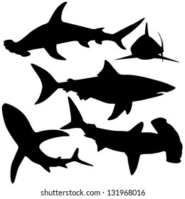 Collection of sharks isolated on white (Vector)