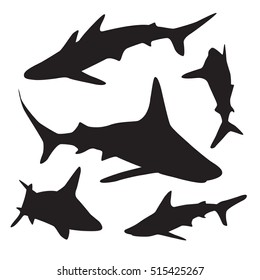 Collection of sharks isolated on white .Vector