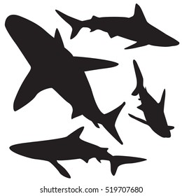 Collection of sharks isolated on white .Vector