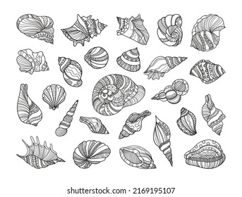 Collection of shells with ornaments. Linear black and white illustrations.