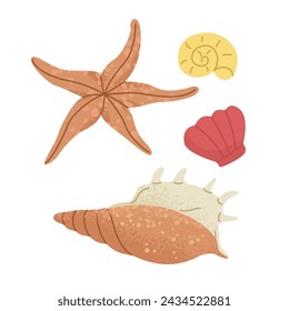 Collection of shells and starfish. Summer leisure at sea and beach parties. Bright vector illustration for posters and scrapbooking, isolated on a transparent background.