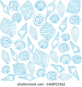 Collection of shells. Vector illustration with shells