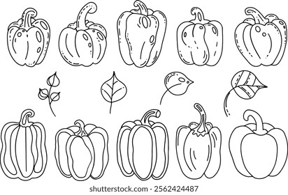 A collection showcases hand drawn vector illustrations of bell peppers and paprika in diverse doodle styles. These vegetable sketches highlight different shapes and details, creating a playful design.