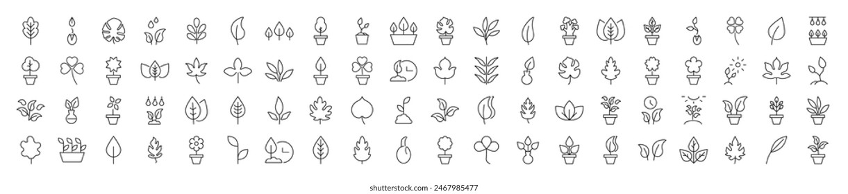 Collection of Signs of Leaf. Suitable for books, stores, shops. Editable stroke in minimalistic outline style. Symbol for design 