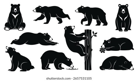 Collection of Silhouette Bear in Different Poses. Black Bear Isolated on White Background. Vector Illustration of Various Bear Activities