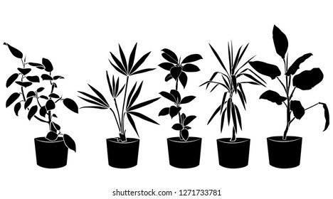 Collection silhouette beautiful ornamental plants for garden and home, tree and foliage in pots, black color isolated on white background. Vector illustration