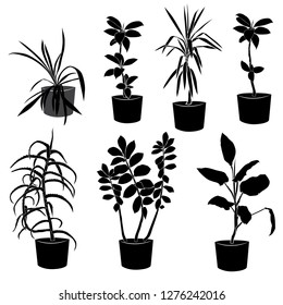 Indoor Plants Silhouette Images, Stock Photos & Vectors | Shutterstock