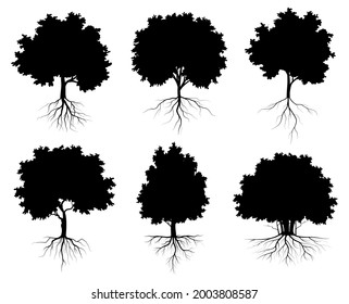 collection silhouette or black tree and roots Symbol style and white background. Can be used for your work.