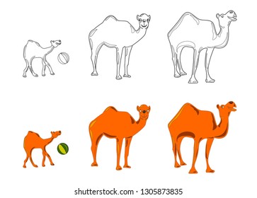 Collection. Silhouette. Coloring. Funny camel's family. They are  standing. Little camel playing with the ball. The camel has a beautiful smile. Set of vector illustrations.