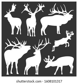 Collection of silhouette  Deers. Vector logo. Wildlife. Wild Deer. Vector illustration.
