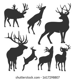 Collection of silhouette  Deers. Vector logo. Wildlife. Wild Deer. Vector illustration.
